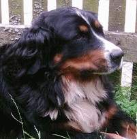Matka c01.jpg